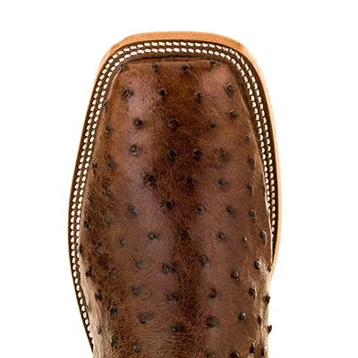 Anderson Bean Chocolate Full Quill Ostrich with Teal Fainting Goat Top S3004