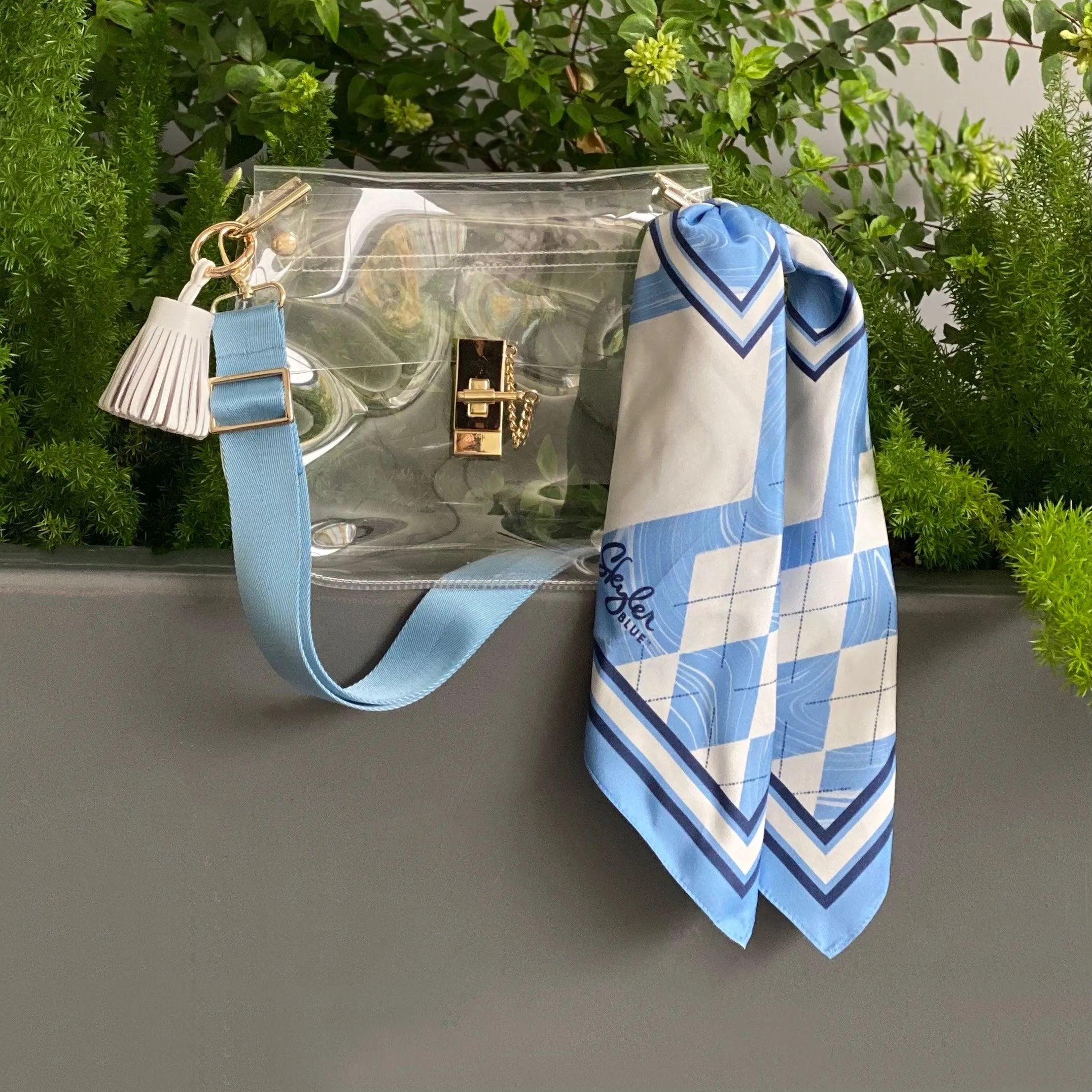 The Chapel Hill Clear Medium Saddle Bag